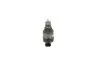 Элемент системы Common Rail BOSCH 0281002966 (фото 1)