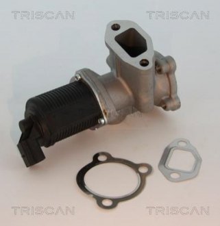 Клапан EGR FIAT 1.3JTD 04- TRISCAN 881310003 (фото 1)