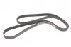 Ремінь генератора Ford Transit 2.3 16V 00-06 (RWD) Gates 6PK1955 (фото 4)