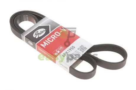 Ремінь генератора Ford Transit 2.3 16V 00-06 (RWD) Gates 6PK1955