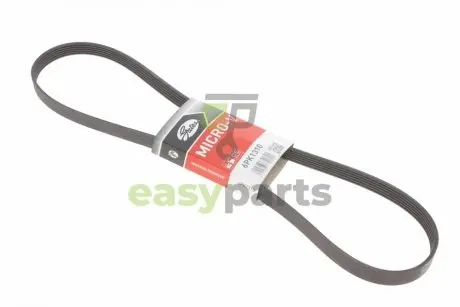 Ремінь генератора Fiat Doblo 1.3D Multijet/1.3JTD/Ford Focus 1.8/2.0 04- Gates 6PK1310