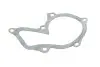 Помпа води Ford Fiesta/Focus 1.0-1.6 96-/Volvo S40/V50 1.6 05-12 HEPU P235 (фото 2)