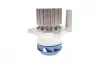 Помпа води Skoda Fabia 1.4TDI/1.9TDI 00-10/Octavia 1.9TDI 04-13/VW Caddy/Golf/T5/Polo 1.9TDI 05-10 (WPQ1196) SKF VKPC 81417 (фото 6)