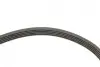 Комплект ременя генератора Renault Kangoo 1.5 dCi 01- (5PK1135) SKF VKMA36036 (фото 3)