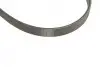 Комплект ременя генератора Renault Kangoo 1.5 dCi 01- (5PK1135) SKF VKMA36036 (фото 4)