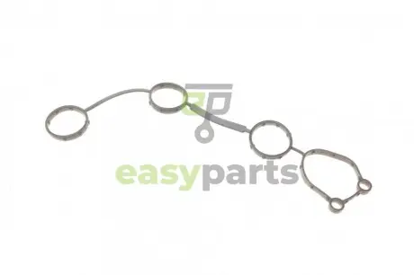Прокладка кришки клапанів Audi A4/A6/A8 2.4/3.2 FSI 04-10 (4-6 циліндр) ELRING 720230