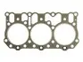 Прокладка, головка цилиндра VICTOR REINZ 613681000 (фото 1)