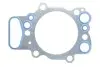 Прокладка ГБЦ SCANIA 125830
