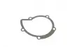 Помпа води Citroen C4/C5/C8/Jumpy/Fiat Scudo/Peugeot 308/407/508/Ford Focus/Mondeo 2.0HDi/TDCi 09- INA 538 0102 10 (фото 4)