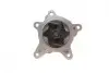Помпа води Hyundai Accent/Elantra/i20/i30/i40/ix20/Tucson/Kia Ceed/Sportage 1.4/1.6 10- INA 538 0667 10 (фото 4)