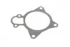 Помпа води Citroen Jumper/Peugeot Boxer 3.0HDi/Fiat Ducato 3.0D 06- SKF VKPC 83101 (фото 8)