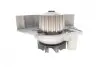 Помпа води Fiat Scudo/Ducato/Peugeot/Citroen/Hyundai 1.8-1.9D/TD 94-06 SKF VKPC 83421 (фото 4)
