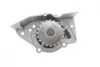 Помпа води Fiat Scudo/Ducato/Peugeot/Citroen/Hyundai 1.8-1.9D/TD 94-06 SKF VKPC 83421 (фото 5)
