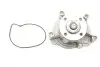Помпа води MB Vaneo 1.6/1.7 CDI/1.9 02-05 SKF VKPC 88851 (фото 1)