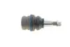 Опора кульова (передня/знизу) Audi A4/A5/A6/Q5 07-18/Porsche Macan 14-18 (d=41.95mm) Delphi TC2684 (фото 4)