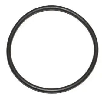 Прокладка помпи воды Ford Transit Connect 2.5 Duratec 13- ELRING 634910
