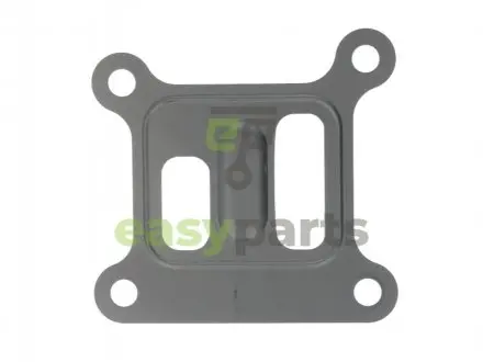 Прокладка помпи води Ford Transit 2.0 DI 00-06 ELRING 027831