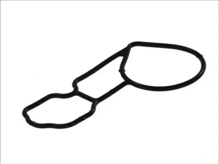 Прокладка, водяной насос DT 124215 (фото 1)