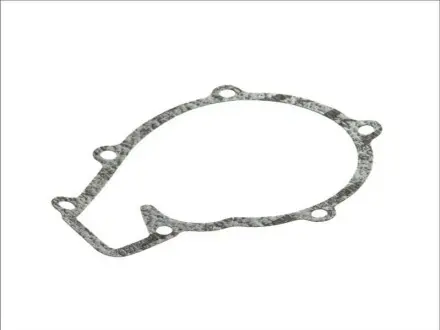 Фото 1 - прокладка водяної помпи DT 316102 Прокладка водяної помпи DT 316102 (фото 1)