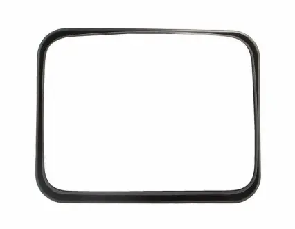 Наружное зеркало PACOL MANMR008