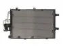 Радіатор кондиціонера THERMOTEC KTT110174 (фото 1)