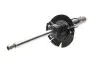 Амортизатор (передній) Ford Focus III 1.0-2.0 12- (L) (B4) BILSTEIN 22255969 (фото 9)