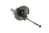 Амортизатор передній (R) Peugeot 2008 13- (B4) BILSTEIN 22243119 (фото 11)