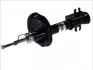 Амортизатор MAGNUM TECHNOLOGY AGF020MT (фото 1)