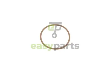 Прокладка насоса паливного Audi/Daf/Ford/Jaguar/MB/Seat/Skoda/VW (45x2.5) BOSCH F00HN35933