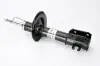 Амортизатор MAGNUM TECHNOLOGY AGF036MT (фото 1)