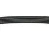 Ремінь генератора Ford Fusion 1.4/1.6i 02-12 DAYCO 5PK690EE (фото 3)