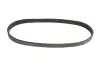 Ремінь генератора Ford Fusion 1.4/1.6i 02-12 DAYCO 5PK690EE (фото 4)