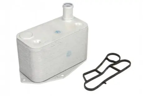 Масляный радиатор THERMOTEC D4B010TT