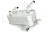 Радіатор оливний BMW 3 (E90) (N52/N53)/X1 (E84) (N20/N52) 04-13 (теплообмінник) (АКПП) NRF 31279 (фото 3)