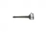 Котушка запалювання Renault Laguna III/Nissan Qashqai 1.6-2.0 07- Delphi GN1031712B1 (фото 5)