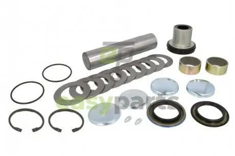 Ремкомплект шкворня C.E.I 230038