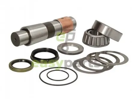 Ремкомплект шкворня C.E.I 230013