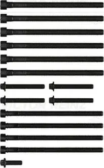 Болт ГБЦ к-кт (15шт.) BMW 3(F30,F80) 2.0 11-18, 5(F10,F11) 2.0 11-18, X3(F25) 11-18 (дв.N20/26) VICTOR REINZ 141001001
