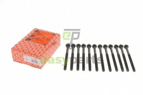 Болти головки (к-кт 12шт.) Volvo C30/S40/S60/S80/V50/V70/XC60/XC70/XC90 2.4 D5 01-14 ELRING 270130