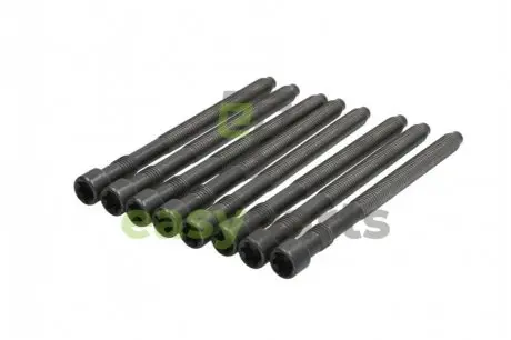 Болти головки (к-кт 8шт.) VW Passat 2.0i 01-05 (M10x132mm) ELRING 057450