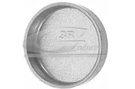 Заглушка ГБЦ 27mm 3RG 84020