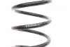 Пружина (задня) Smart Fortwo/City-Coupe/Cabrio 98-07 M160/OM660 (B3) BILSTEIN 36235223 (фото 2)