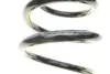 Пружина (задня) VW Sharan/Ford Galaxy/Seat Alhambra 1.8-2.8/1.9TDI 95-10 (B3) BILSTEIN 38131264 (фото 2)