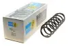 Пружина (задня) VW Polo 1.2-1.4/1.4-1.9TDI 01-09/Skoda Fabia 1.0-1.2TSI/1.2-1.4TDI 07- (B3) BILSTEIN 36300075 (фото 1)
