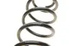 Пружина (задня) VW Polo 1.2-1.4/1.4-1.9TDI 01-09/Skoda Fabia 1.0-1.2TSI/1.2-1.4TDI 07- (B3) BILSTEIN 36300075 (фото 2)
