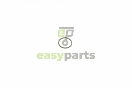 Кільце ущільнювальне форсунки Audi A6 2.5TDI 00-05 BOSCH 2430210088