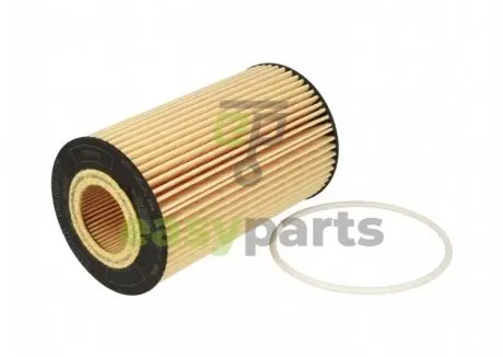 Фильтр масла Vario/Atego ОМ904 96- HENGST FILTER E160H01D28