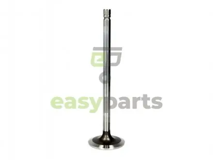 Впускной клапан TRW 10535640