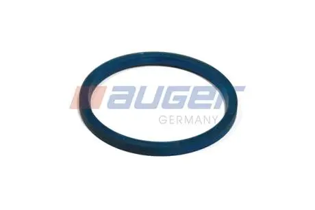 Сальник шкворня AUGER 54879 (фото 1)