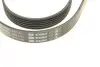 Ремінь генератора Audi A4 1.6-2.0 00-08 (6PK1575) BOSCH 1987946038 (фото 4)